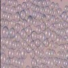 Application de microsphères de verre dans du plastique, du caoutchouc, etc.